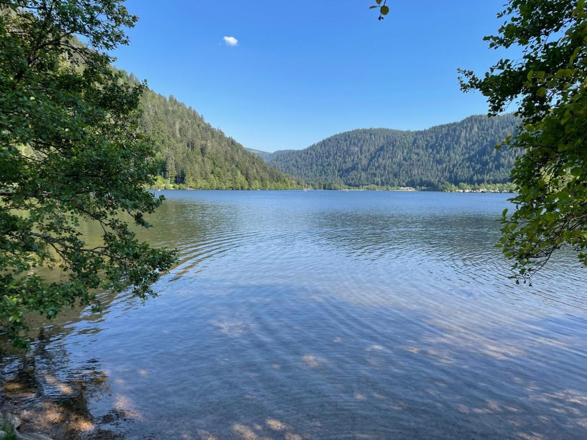 Le Chalet Blanc De Gerardmer Avec Spa Exteriér fotografie